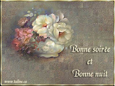 Bonne nuit  mes amis(ies)